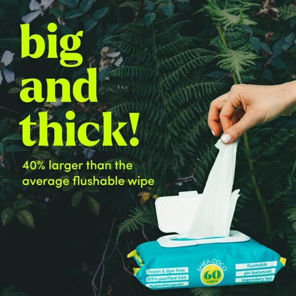 7156qYIlY6L._SL1500_ Review of Goodwipes Flushable Butt Wipes Shea Coco for Gentle Cleansing