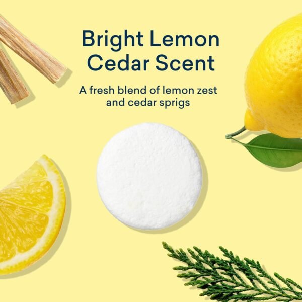 Blueland Toilet Bowl Cleaner Tablets Review Lemon Cedar Scent Eco-Friendly Cleaning