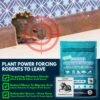 81IehPGynBL._AC_SL1500_ Review of Vamoose Mouse Repellent Pouches 12Pack Indoor Outdoor Rodent Control