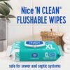 81LHJuyEL-L._SL1500_ Review of Nice 'N CLEAN Extra Large Flushable Wipes for Sensitive Skin